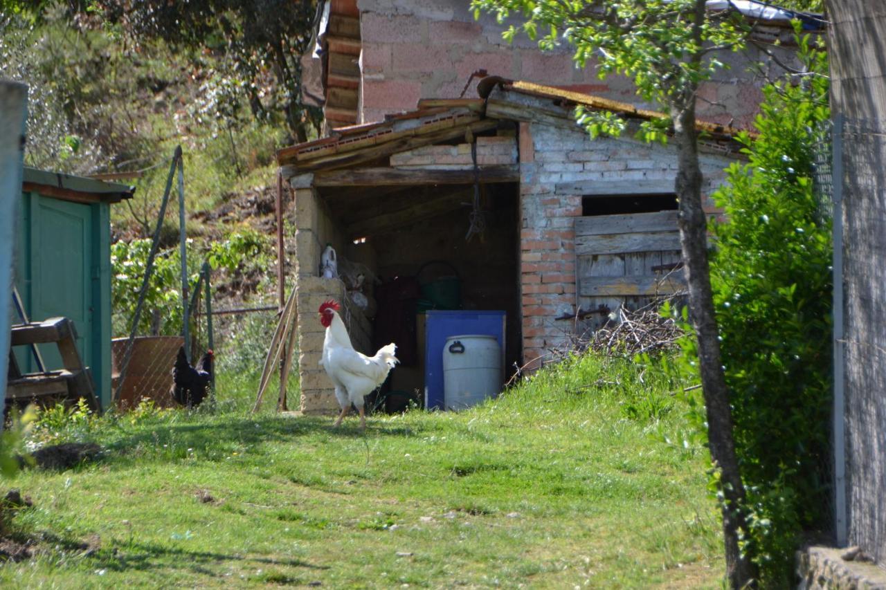 La Fornace Farm stay *