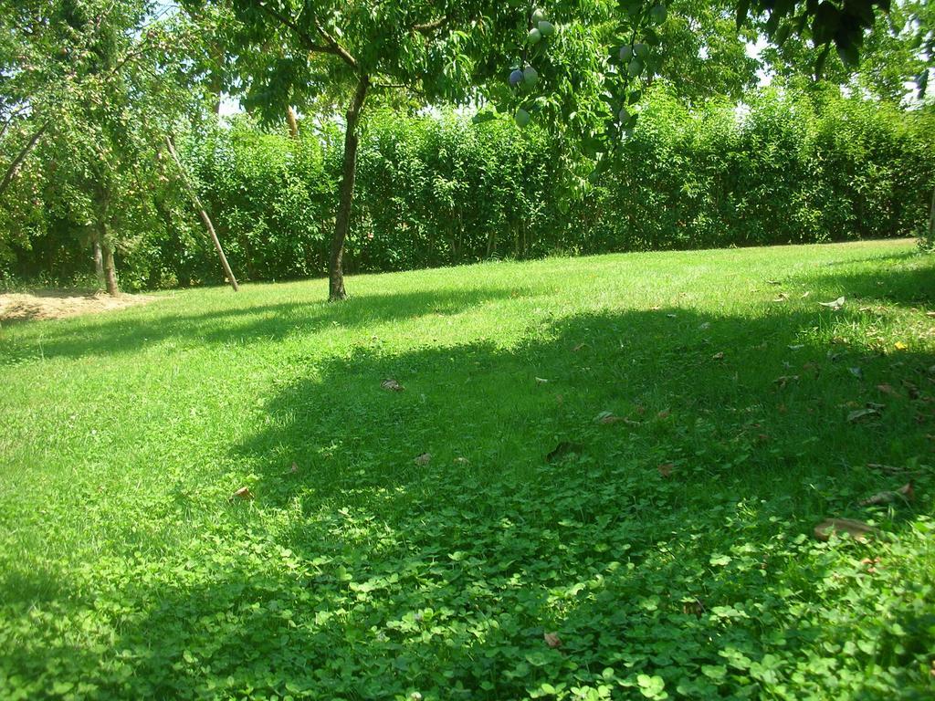 Farm stay La Fornace *