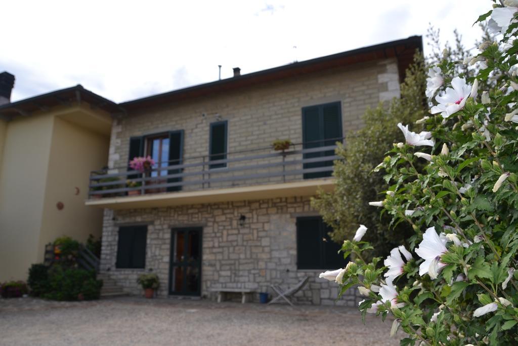 Farm stay La Fornace Rigomagno